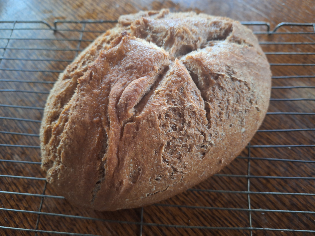 Baked sourdough loaf